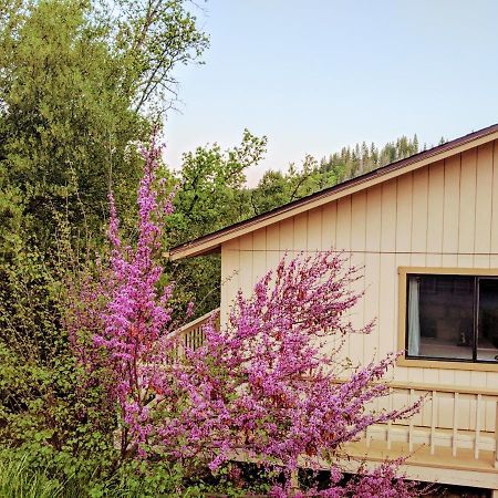 Yosemite Haven @ Pine Mountain Lake. Dog Friendly! Groveland Ngoại thất bức ảnh
