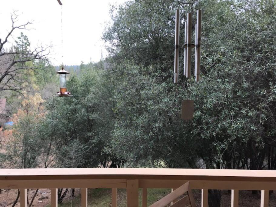 Yosemite Haven @ Pine Mountain Lake. Dog Friendly! Groveland Ngoại thất bức ảnh