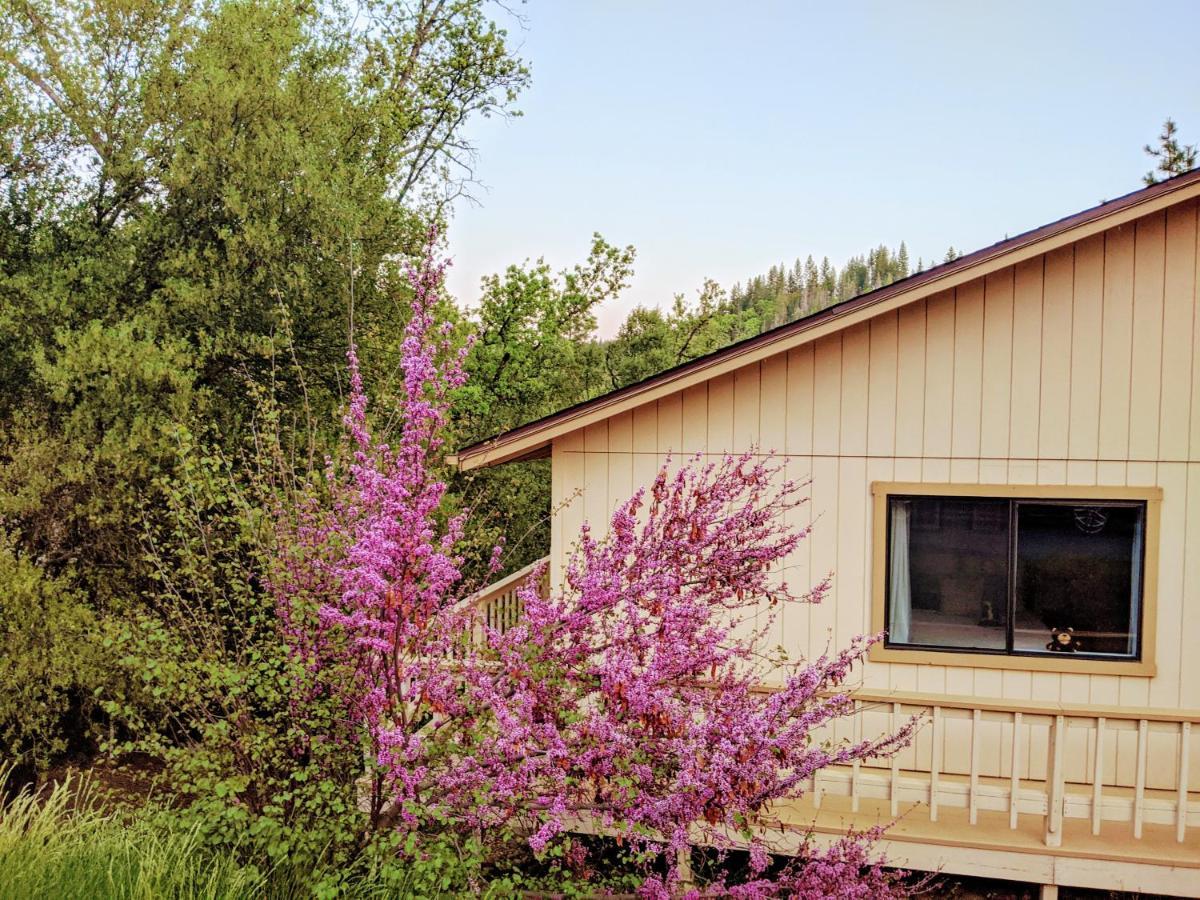 Yosemite Haven @ Pine Mountain Lake. Dog Friendly! Groveland Ngoại thất bức ảnh