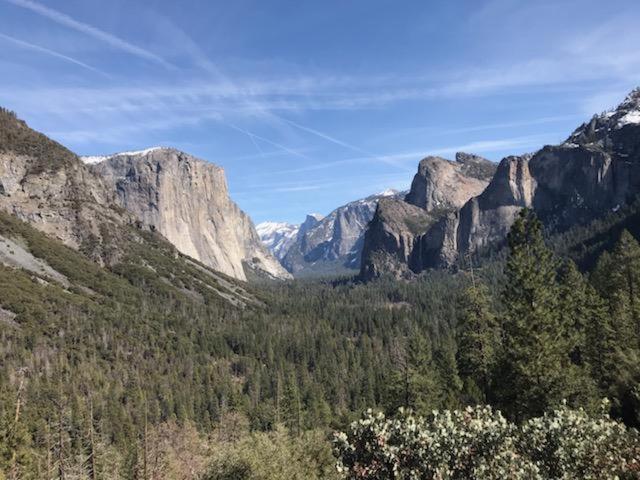 Yosemite Haven @ Pine Mountain Lake. Dog Friendly! Groveland Ngoại thất bức ảnh