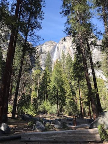 Yosemite Haven @ Pine Mountain Lake. Dog Friendly! Groveland Ngoại thất bức ảnh